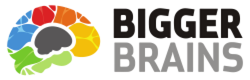 bigger brains logo